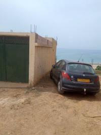 voitures-peugeot-207-2007-chlef-algerie