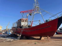 Sardinier 