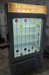 Congélateur à glace comptoir professionnel 