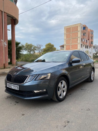 voitures-skoda-octavia-2019-ambition-larbaa-blida-algerie