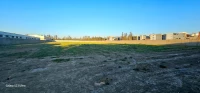 Vente Terrain Blida Chebli