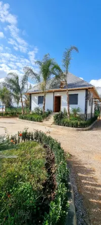 Vente Terrain Alger Tessala el merdja
