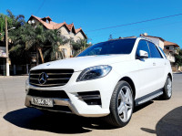 voitures-mercedes-ml-2014-250-chlef-algerie