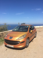 voitures-peugeot-207-2007-premium-chevalley-alger-algerie