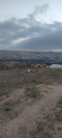 terrain-vente-constantine-algerie