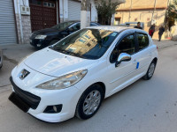 voitures-peugeot-207-2013-plus-baraki-alger-algerie