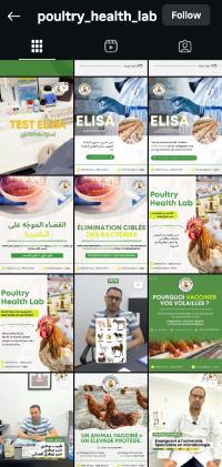 رسوم-بيانية-و-اتصال-social-media-manager-بئر-مراد-رايس-الجزائر