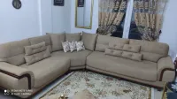 Salon lion