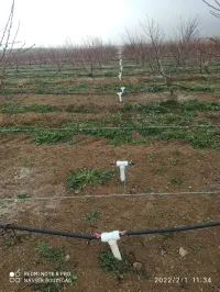 Etude et réalisation des projets d'irrigation et d'arrosage des espaces verts 