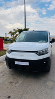 voitures-fiat-doblo-2024-professionnel-guelma-algerie