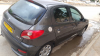 voitures-peugeot-206-plus-2011-algerie