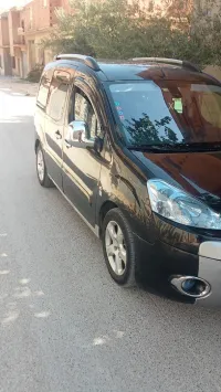 Peugeot Partner 2009 Tepee
