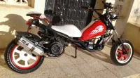 Harley Chopper 