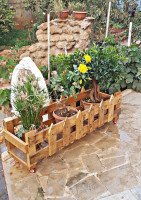 jardinage-support-de-plante-haute-qualite-zeralda-alger-algerie