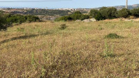 terrain-vente-boumerdes-corso-algerie