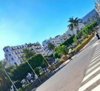 local-vente-alger-centre-algerie