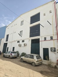 مستودع-مصنع-بيع-برج-بوعريريج-الجزائر