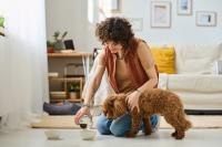 فعاليات-و-ترفيه-dog-walking-et-pet-sitting-بئر-الجير-وهران-الجزائر