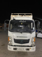 camion-shacman-2019-touggourt-algerie