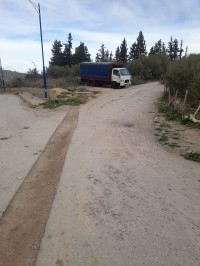 camion-hundai-hyundai-65-2019-rouached-mila-algerie