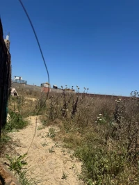 Vente Terrain Blida Ben khellil