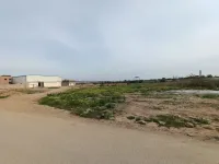 Location Terrain Oran Misseghine