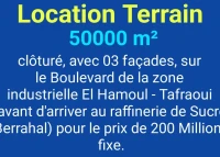 Location Terrain Oran Tafraoui