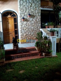 villa-vente-oran-ain-el-turck-algerie