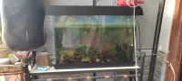 Aquarium plasma