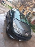 citadine-peugeot-207-2007-tiaret-algerie