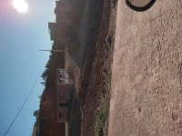 Vente Carcasse Relizane Mazouna