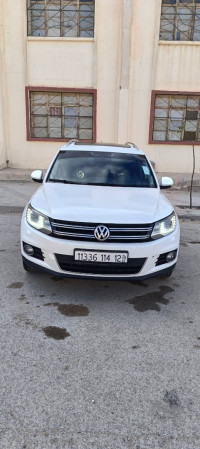 voitures-volkswagen-tiguan-2014-life-bir-el-ater-tebessa-algerie