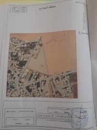 أرض-فلاحية-بيع-معسكر-علايمية-الجزائر