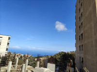 appartement-vente-alger-bouzareah-algerie