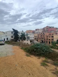 Location Terrain Alger Draria