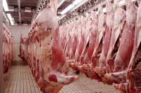 Fournisseur Viande blanc & rouge Fraîche Prix imbattables 