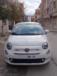 voitures-fiat-500-2024-club-constantine-algerie