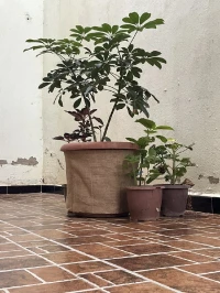 toile de jute 