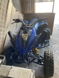 Viva motor Quad 2018