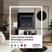 INTERRUPTEUR DOUBLE ALLUMAGE LUMINNEUX