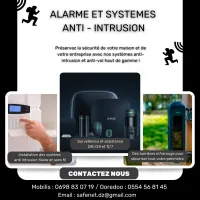 Installation et Maintenance des systèmes anti-intrusion ( Alarmes ) 