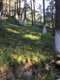 Vente bien immobilier Blida Blida