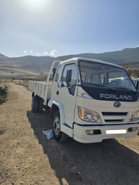 camion-forland-4ton-batna-algerie