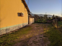 local-vente-el-tarf-ben-mehdi-algerie