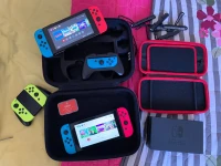 02 Nintendo Switch Flashée