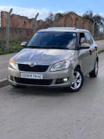 citadine-skoda-fabia-2014-fresh-kolea-tipaza-algerie