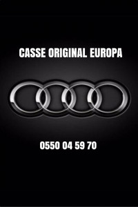 pieces-vehicules-detachees-et-casse-audi-oran-algerie