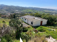 terrain-vente-boumerdes-thenia-algerie