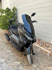 Okinoi Max ts 2025