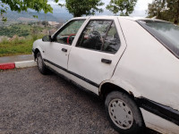 berline-renault-19-1993-bejaia-algerie